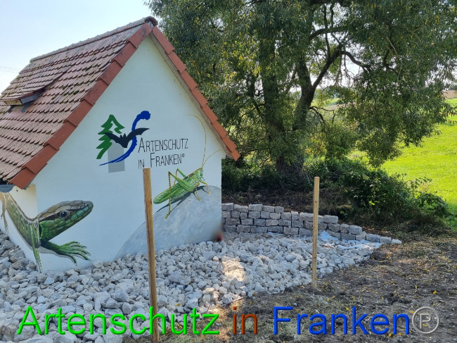 © Artenschutz in Franken® Bild zum Eintrag (1056313-160)