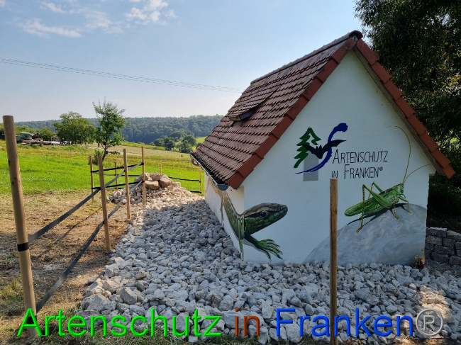© Artenschutz in Franken® Bild zum Eintrag (1056314-160)