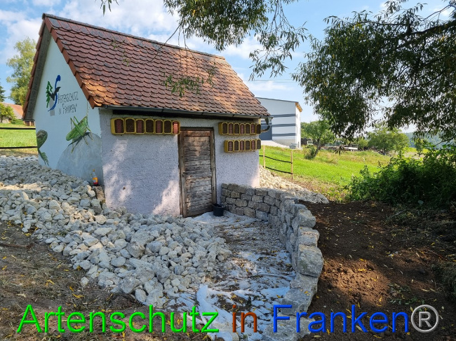 © Artenschutz in Franken® Bild zum Eintrag (1056315-160)