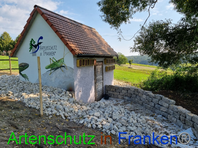 © Artenschutz in Franken® Bild zum Eintrag (1056316-160)