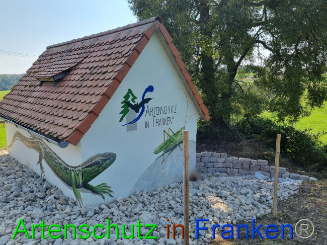 © Artenschutz in Franken® Bild zum Eintrag (1056317-160)