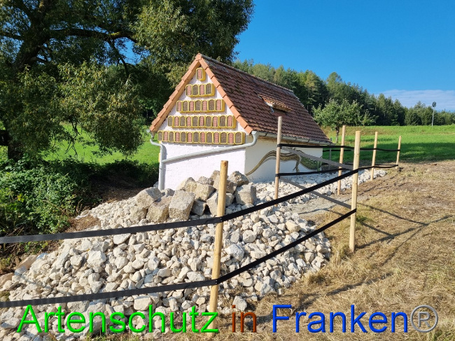 © Artenschutz in Franken® Bild zum Eintrag (1056318-160)