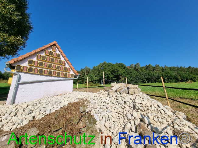 © Artenschutz in Franken® Bild zum Eintrag (1056320-160)