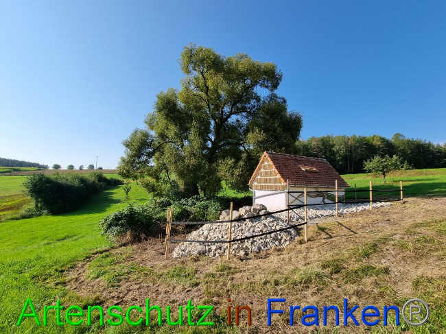 © Artenschutz in Franken® Bild zum Eintrag (1056321-160)