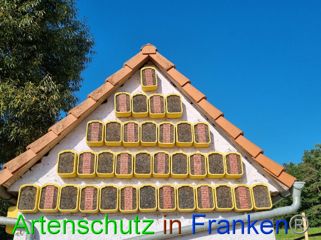 © Artenschutz in Franken® Bild zum Eintrag (1056322-160)