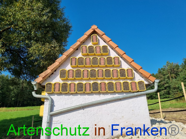 © Artenschutz in Franken® Bild zum Eintrag (1056323-160)