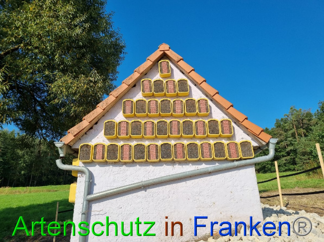 Bild zum Eintrag (1056323-160)