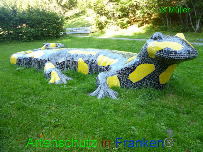 © Artenschutz in Franken® / Müller Bild zum Eintrag (1056365-160)