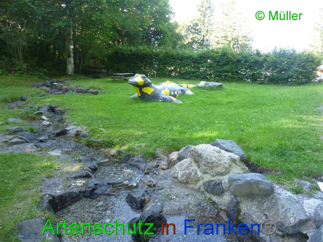 © Artenschutz in Franken® / Müller Bild zum Eintrag (1056366-160)