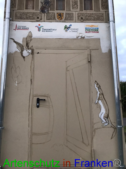 © Artenschutz in Franken® Bild zum Eintrag (1056566-160)