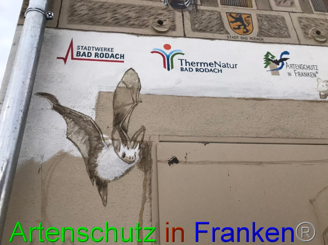 © Artenschutz in Franken® Bild zum Eintrag (1056567-160)