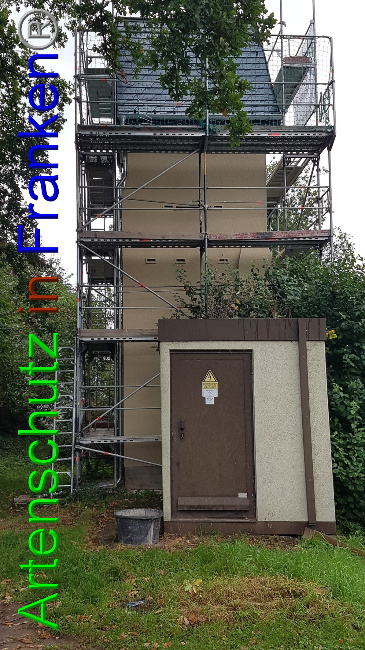 © Artenschutz in Franken® Bild zum Eintrag (1056586-160)