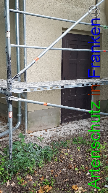 © Artenschutz in Franken® Bild zum Eintrag (1056588-160)