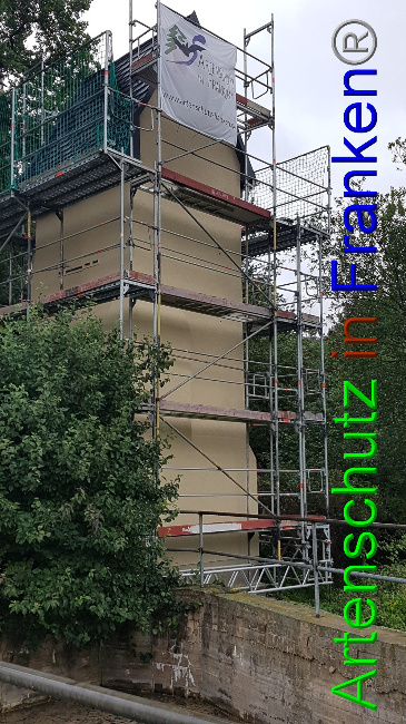 © Artenschutz in Franken® Bild zum Eintrag (1056590-160)
