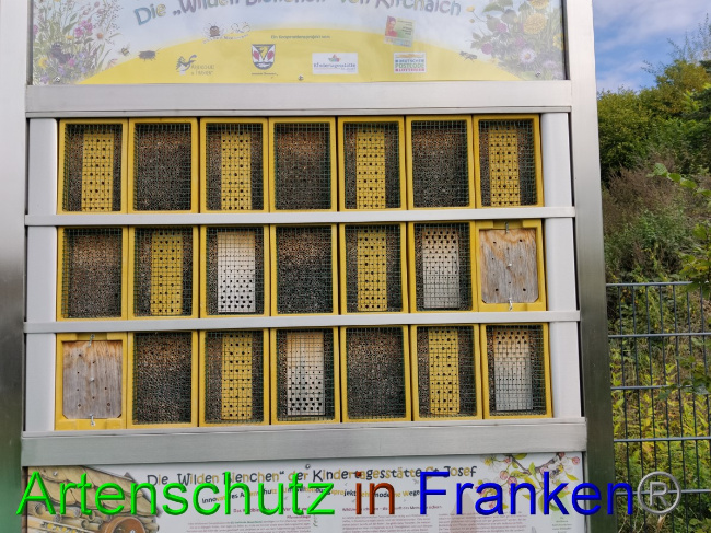 © Artenschutz in Franken® Bild zum Eintrag (1056846-160)