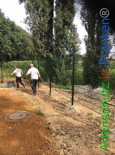 © Artenschutz in Franken® / Francken Bild zum Eintrag (1056924-160)