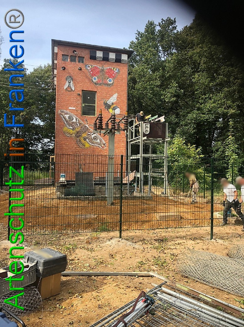 © Artenschutz in Franken® / Francken Bild zum Eintrag (1056927-160)