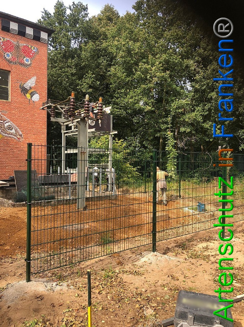 © Artenschutz in Franken® / Francken Bild zum Eintrag (1056928-160)