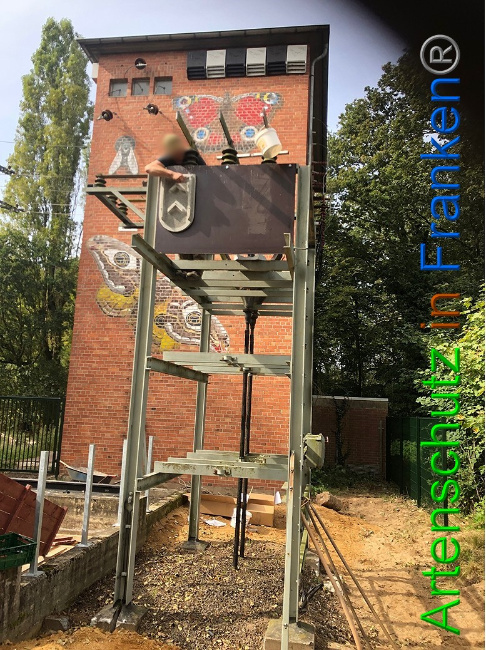 © Artenschutz in Franken® / Francken Bild zum Eintrag (1056932-160)