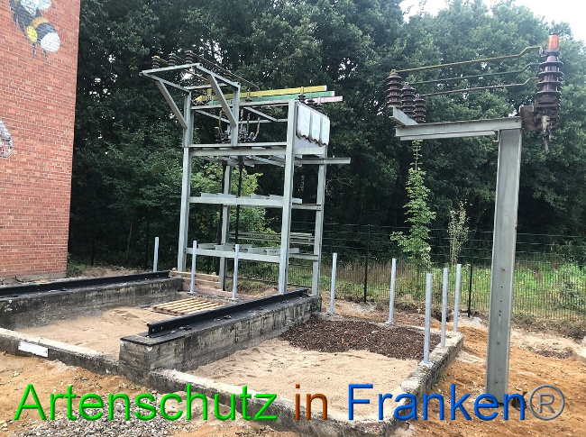 © Artenschutz in Franken® / Francken Bild zum Eintrag (1056936-160)