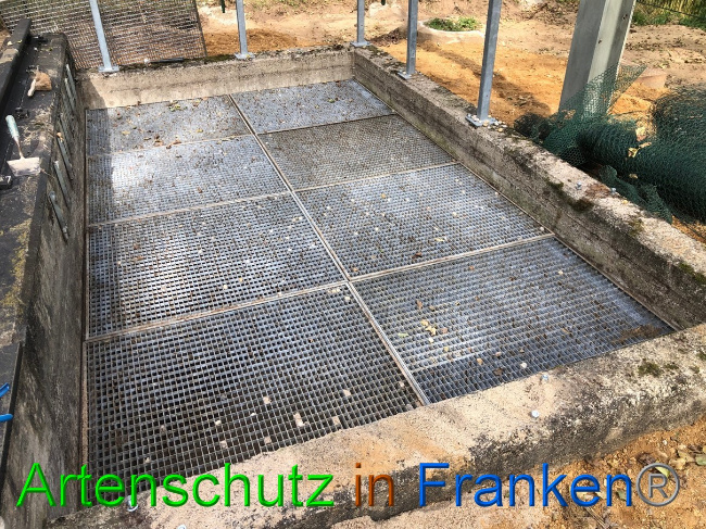 © Artenschutz in Franken® / Francken Bild zum Eintrag (1056940-160)