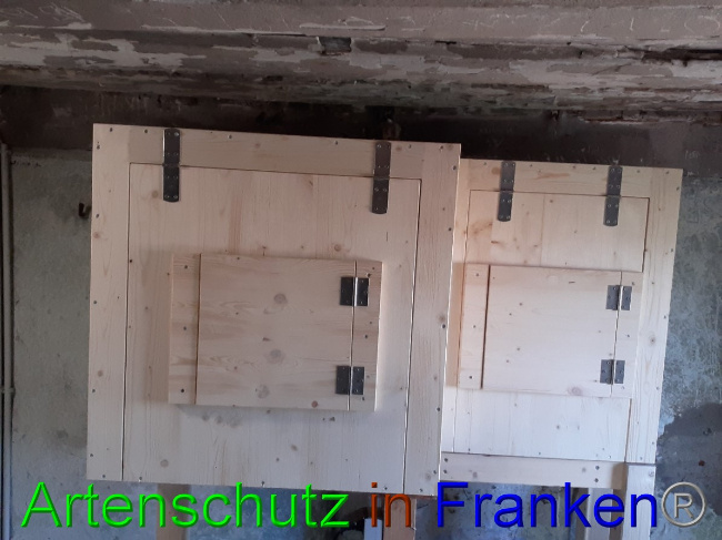 © Artenschutz in Franken® Bild zum Eintrag (1056995-160)