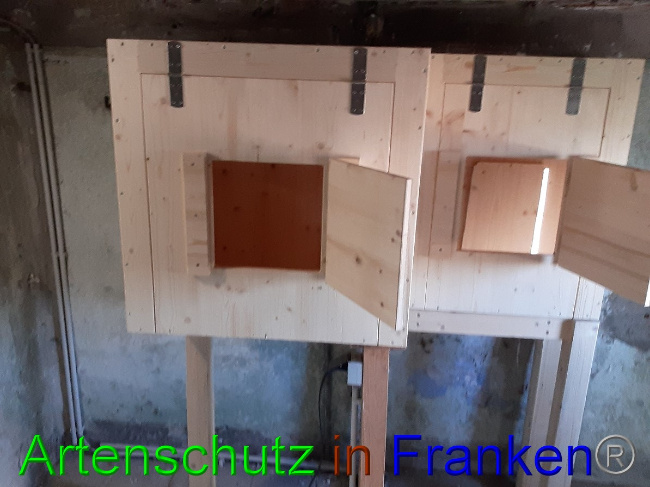 © Artenschutz in Franken® Bild zum Eintrag (1056996-160)