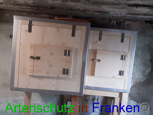 © Artenschutz in Franken® Bild zum Eintrag (1057007-160)