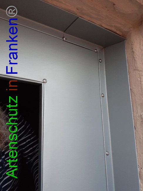 © Artenschutz in Franken® Bild zum Eintrag (1057008-160)