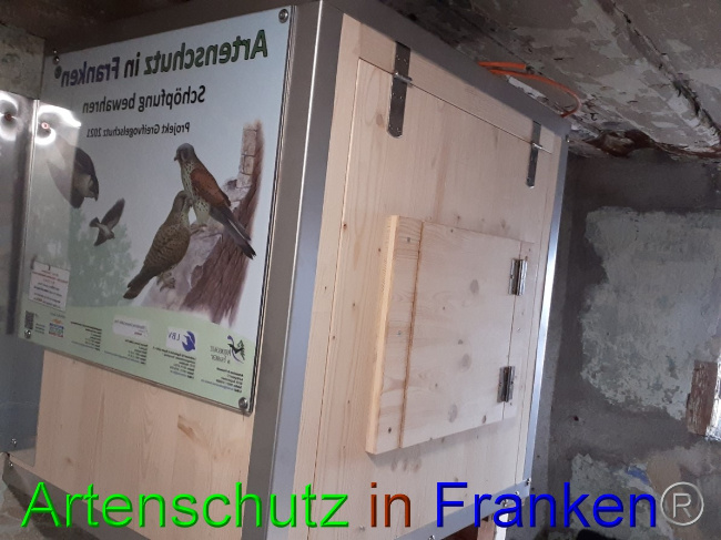 © Artenschutz in Franken® Bild zum Eintrag (1057010-160)
