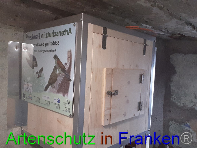© Artenschutz in Franken® Bild zum Eintrag (1057011-160)