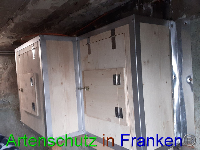 © Artenschutz in Franken® Bild zum Eintrag (1057013-160)