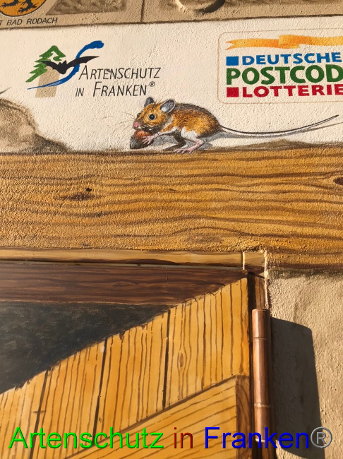 © Artenschutz in Franken® Bild zum Eintrag (1057147-160)
