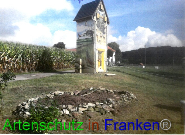 © Artenschutz in Franken® Bild zum Eintrag (1057287-160)