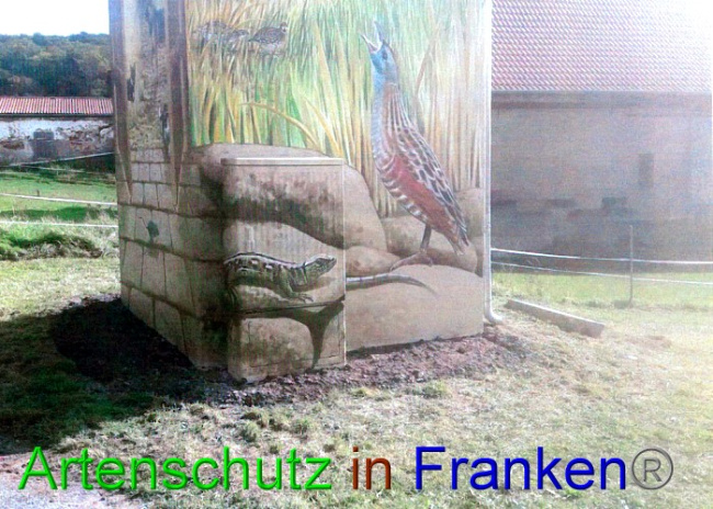 © Artenschutz in Franken® Bild zum Eintrag (1057289-160)