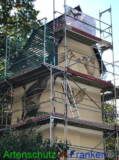 © Artenschutz in Franken® Bild zum Eintrag (1057367-160)
