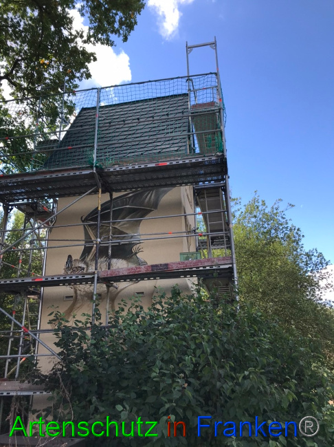 © Artenschutz in Franken® Bild zum Eintrag (1057368-160)