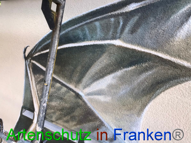 © Artenschutz in Franken® Bild zum Eintrag (1057378-160)