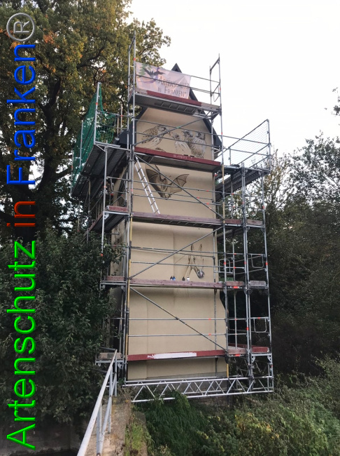 © Artenschutz in Franken® Bild zum Eintrag (1057400-160)
