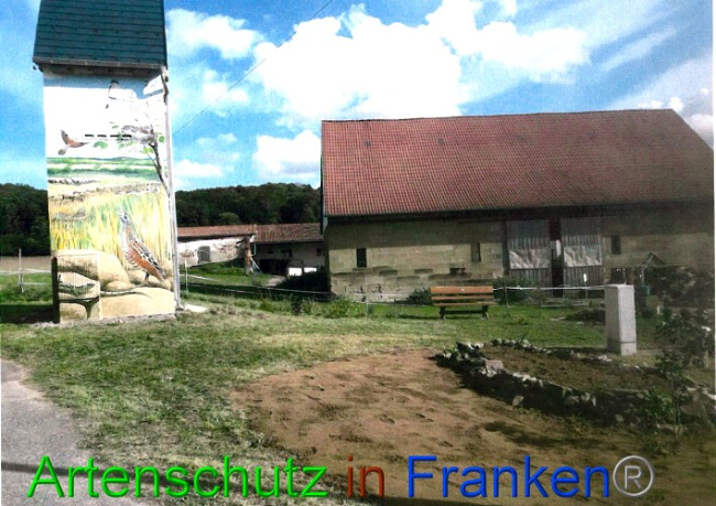 © Artenschutz in Franken® Bild zum Eintrag (1057408-160)