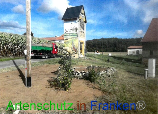 © Artenschutz in Franken® Bild zum Eintrag (1057409-160)