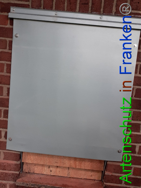 © Artenschutz in Franken® Bild zum Eintrag (1057433-160)