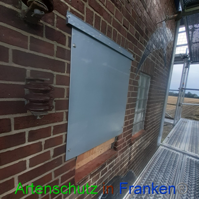© Artenschutz in Franken® Bild zum Eintrag (1057434-160)