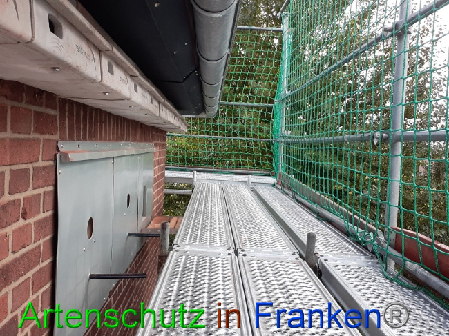 © Artenschutz in Franken® Bild zum Eintrag (1057437-160)