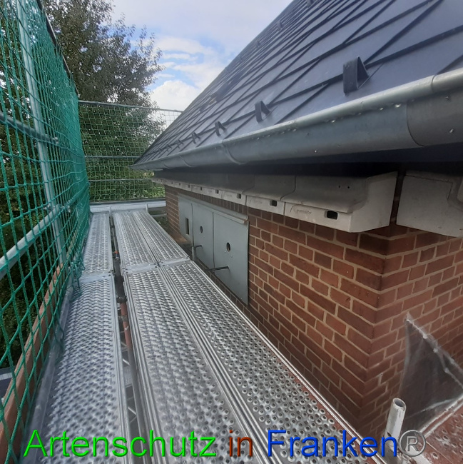 © Artenschutz in Franken® Bild zum Eintrag (1057438-160)