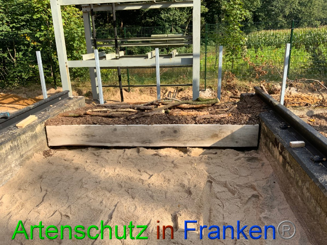 Bild zum Eintrag (1057484-160)