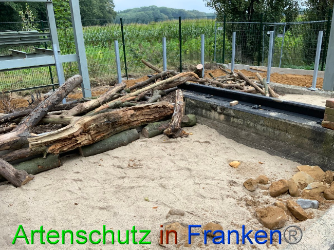 Bild zum Eintrag (1057494-160)