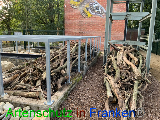 © Artenschutz in Franken® / Francken Bild zum Eintrag (1057503-160)