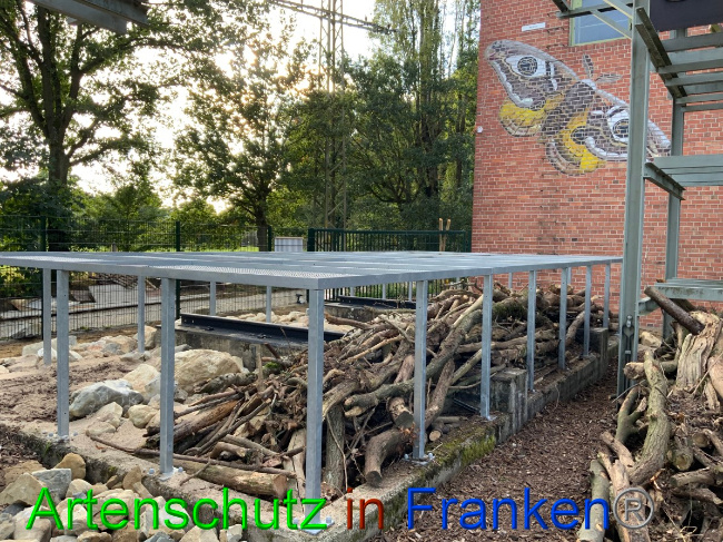 © Artenschutz in Franken® / Francken Bild zum Eintrag (1057505-160)