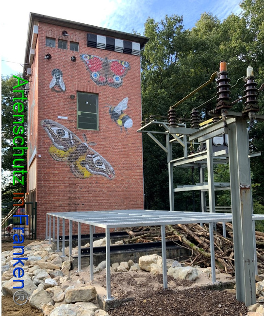 © Artenschutz in Franken® / Francken Bild zum Eintrag (1057506-160)